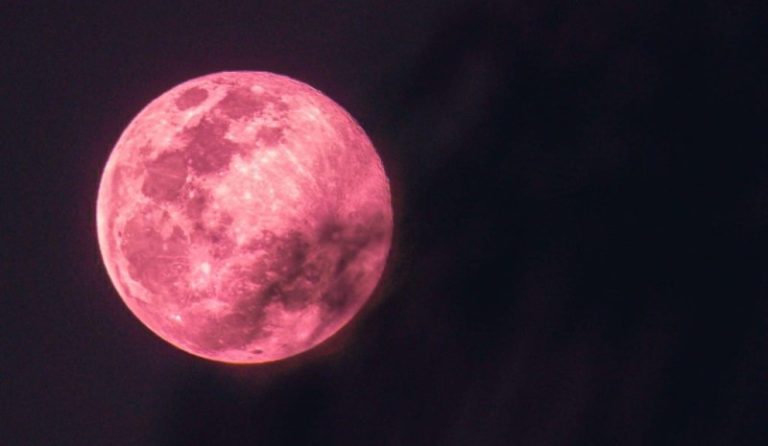 القمر الزهري العملاق