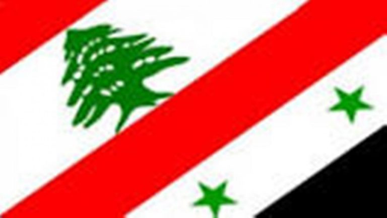 الصحة اللبنانية: سورية مستعدة لإمداد لبنان باحتياجاته من الأصناف الدوائية