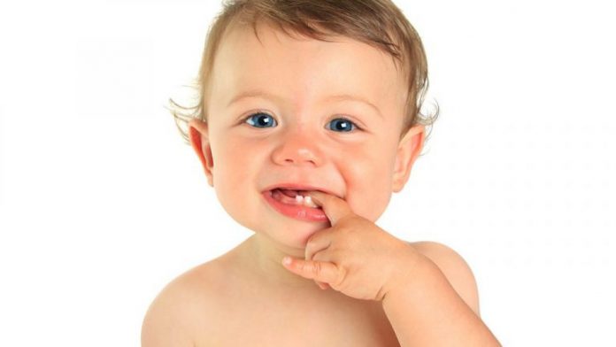 الأسنان عند الأطفال الرضع.
