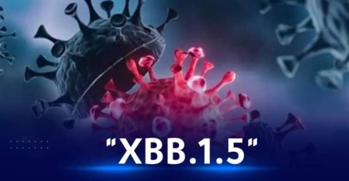 XBB.1.5