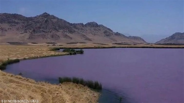 بحيرة رانيا